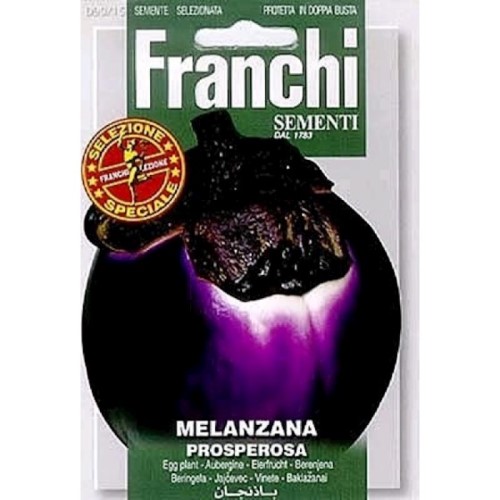 Aubergine Melanza Properosa Seeds